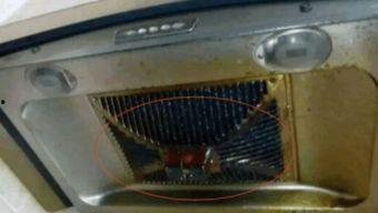 油烟机怎么清洗视频,视频教程教你轻松清洁