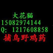 捕野鸭视频,高清视频揭秘自然捕猎奇观