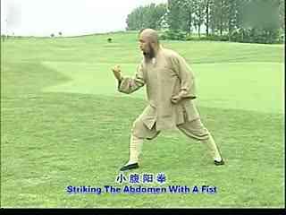 洪拳表演视频,传统武术的激情演绎