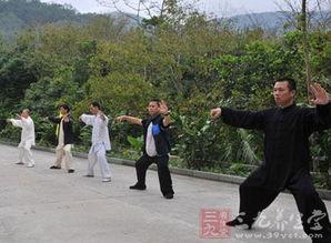 太极走步视频,动静交融，养生之道