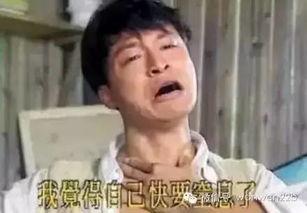 你爸快回来了在线视频,在线视频见证温馨团聚时刻