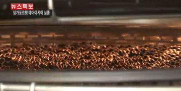 抓人参视频,跟随镜头揭秘人参的神秘生长过程