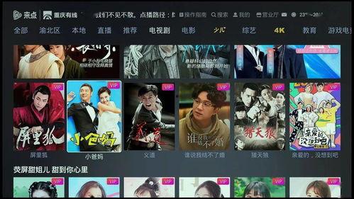 元 视频,探索虚拟现实与数字世界的无限可能