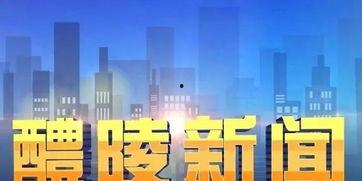 醴陵新闻视频,聚焦城市发展，展现魅力风采