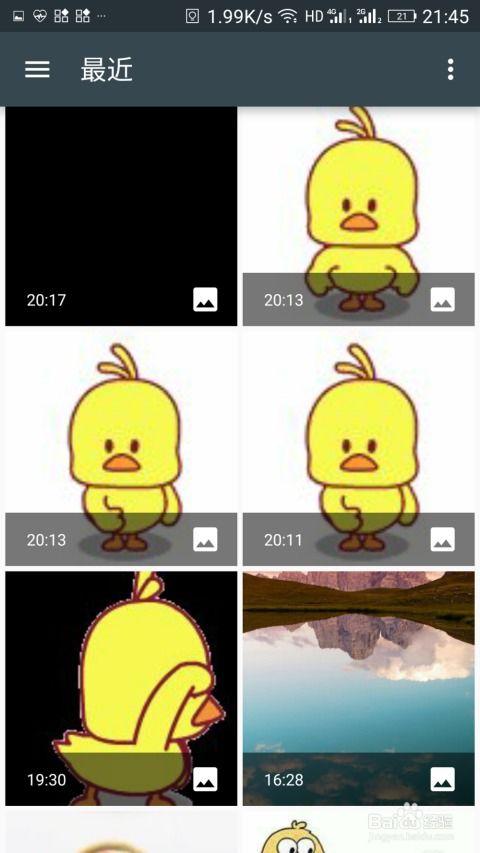 小黄鸭抖音视频,小黄鸭萌动瞬间，治愈你的心灵