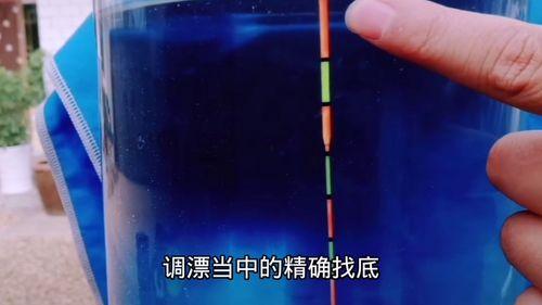 调漂找底视频,视频教程深度解读