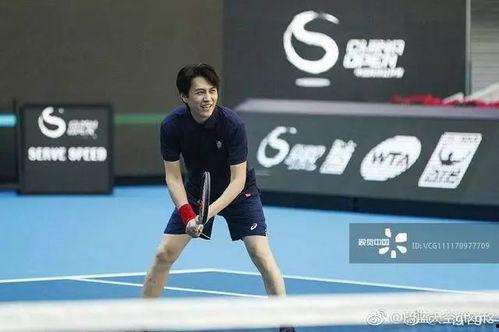 靳东法网打球视频,网球场上尽显绅士风采