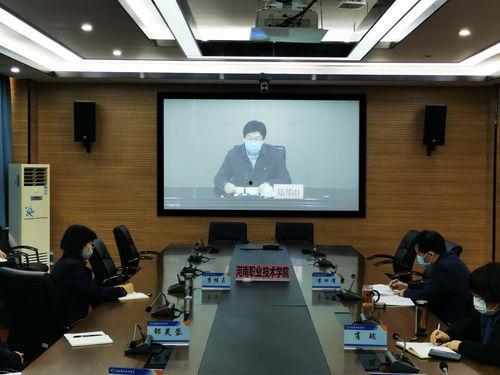 视频会议的准备,高效沟通的秘诀