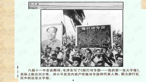 文华大革命视频