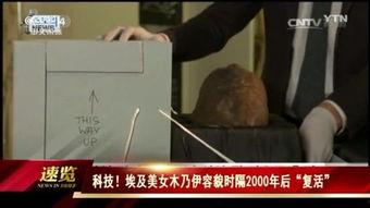 木乃伊制作视频,揭秘木乃伊制作全过程