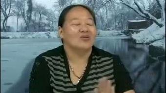 王翠明居士视频全集,禅意人生智慧启示录